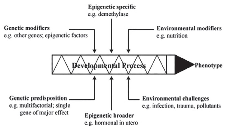 Figure 9: Development of microdental entities
