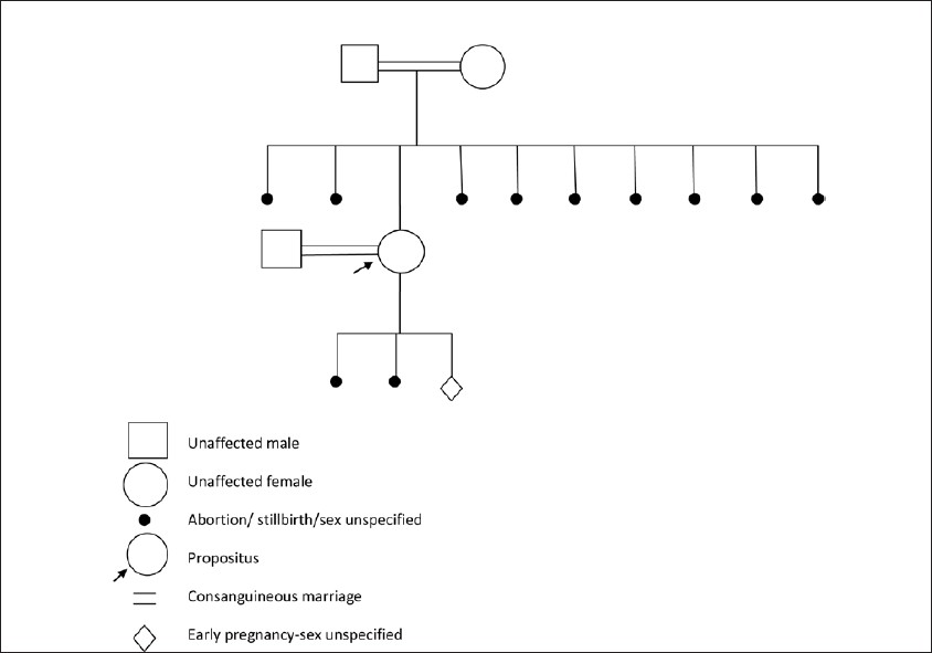 Figure 1: Pedigree family chart