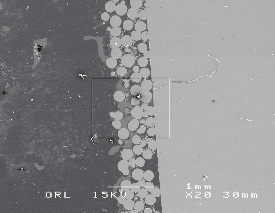 Figure 7: Low magnification of plastic embedded and polished surface of area directly under the porous coating