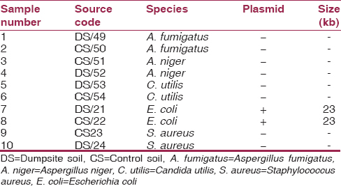 Table 6: The plasmid profile of most encountered bacteria and fungi isolates from waste dumpsite and control 

