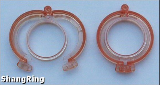 Figure 8: Shang ring