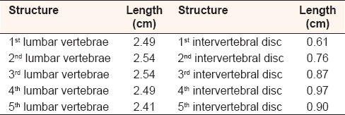 Table 5: Average of individual lumbar vertebrae and intervertebral disc in all cases