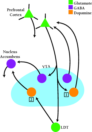   Figure 3.  