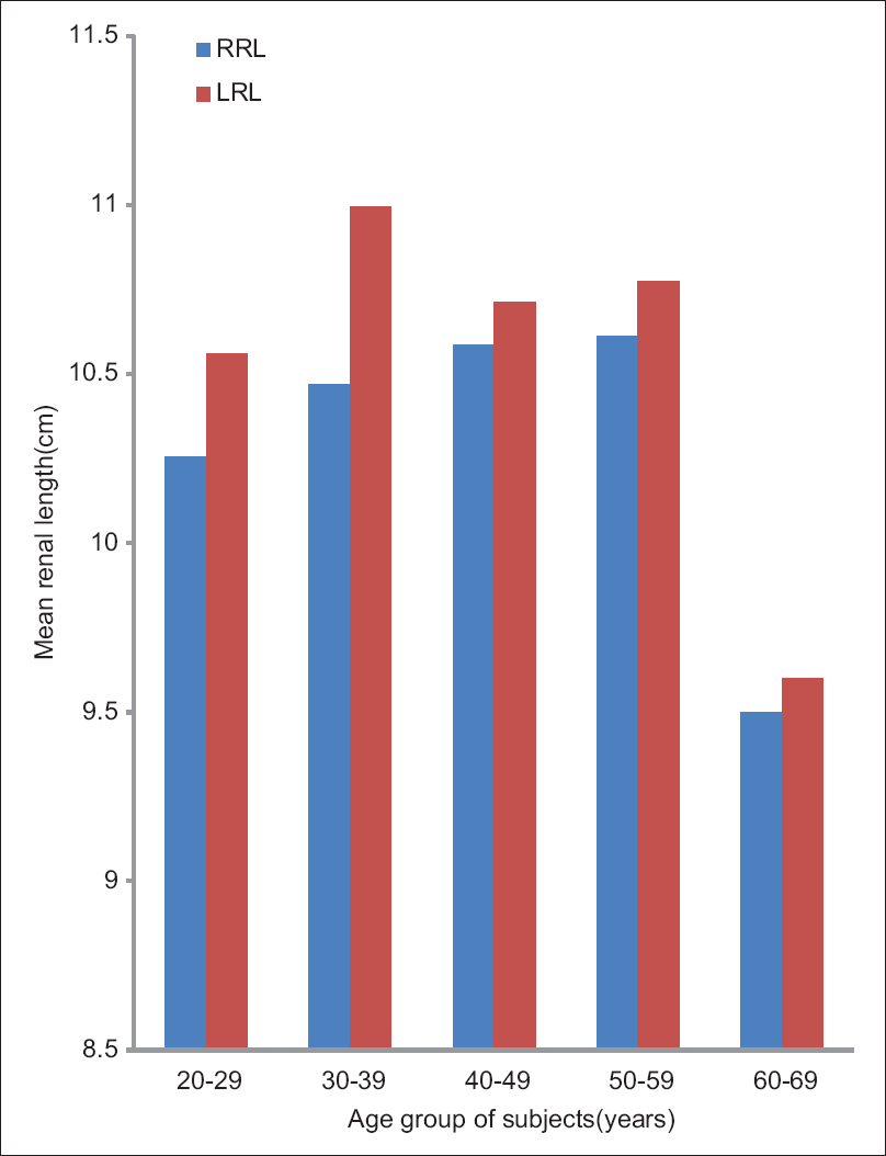 Figure 3: Bar chart showing the distribution of renal lengths (in centimeters) with increasing age (in years) in male subjects