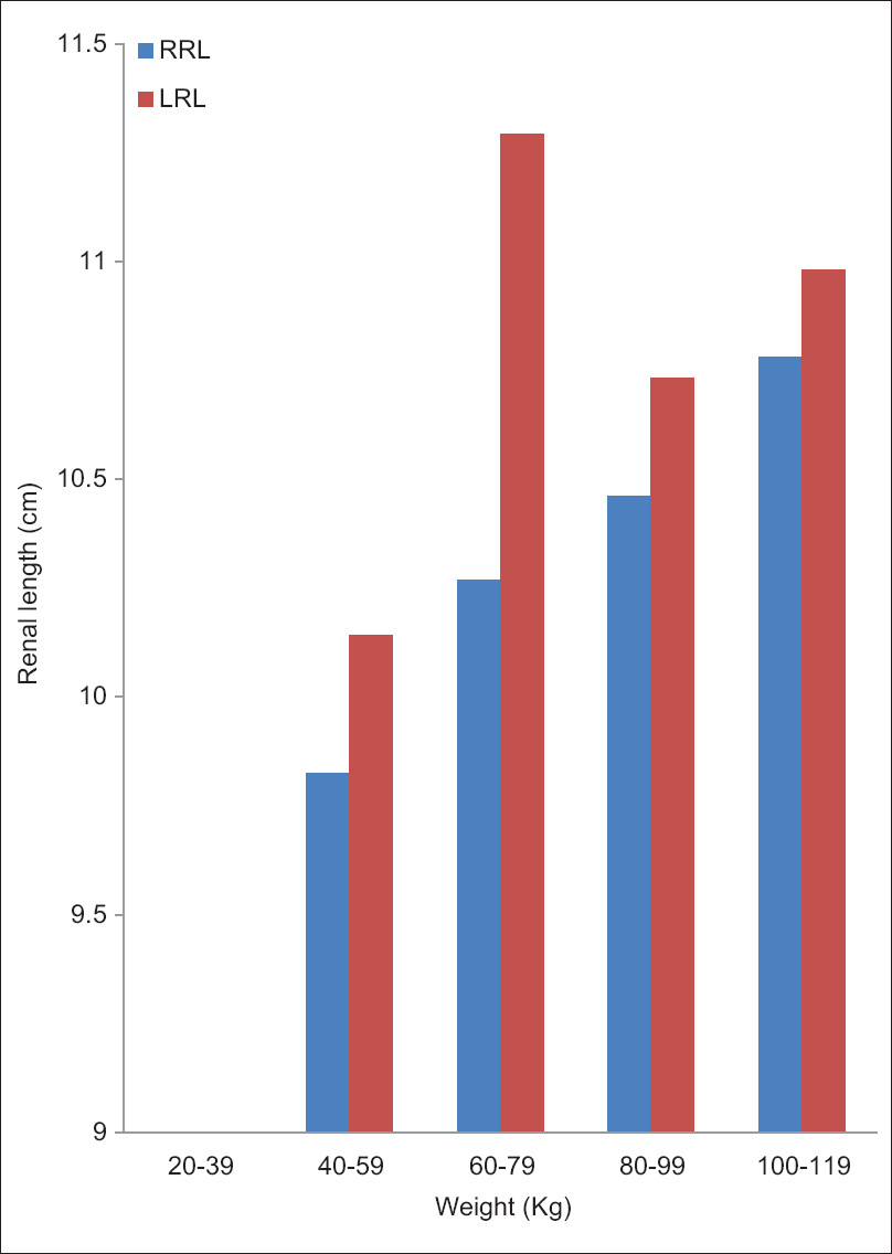 Figure 6: Bar chart showing the distribution of renal lengths (in centimeters) with increasing weight (in kilograms) in females