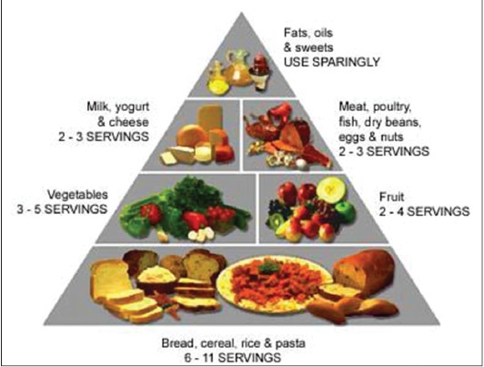 Figure 4: Food pyramid