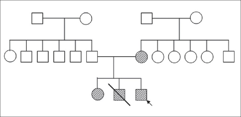 Figure 2: Pedigree Chart of the family