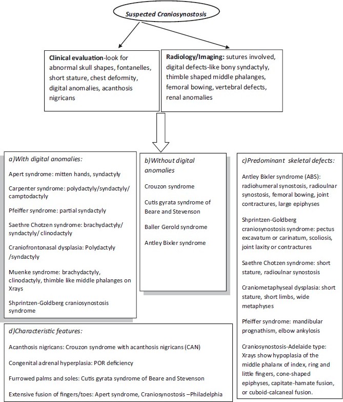 Figure 3: Flow chart depicting approach to clinical diagnosis of craniosynostosis syndromes