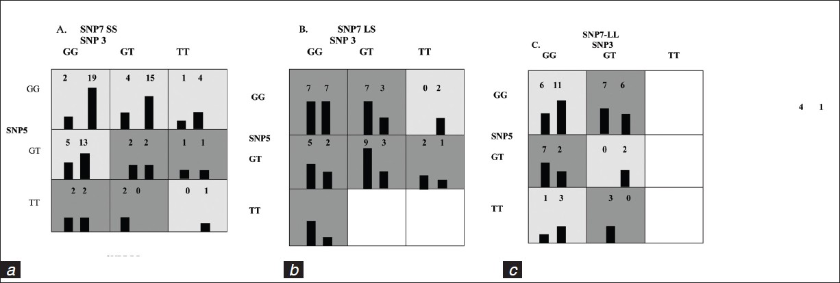 Figure 1: (a– c) The best three-locus SNP model selected by MDR. interaction of NOS3 G894T, 5HTT, and EDN1 K198N polymorphisms