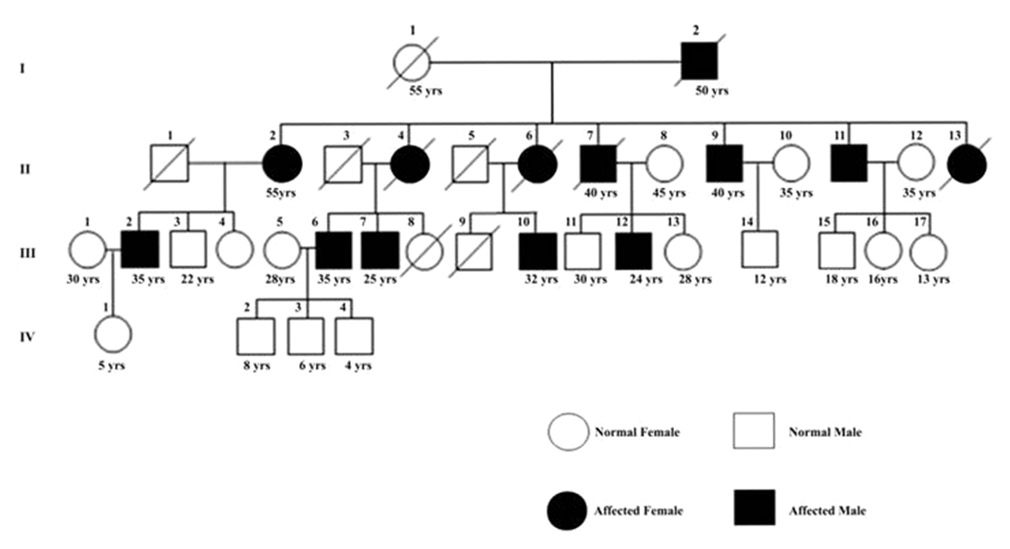 Figure 1: The family tree (Pedigree) of SCA1 affected Individuals. Numbers below symbols indicate the present age. Filled symbols indicate clinically affected individuals