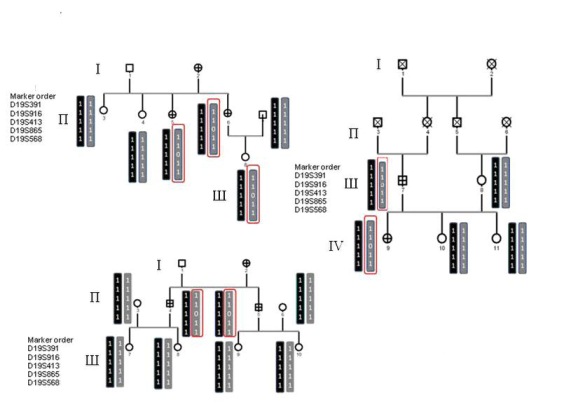 Figure 4: Pedigree of family papillary and follicular, with haplotype analysis in the region of linkage to susceptibility to thyroid cancer and TCO, on chromosome 19. Circles represent females, and squares represent males; crossed symbols denote cases of thyroid cancer. Critical recombination in individuals II-2, II-3 and II-4 define a 1 - 1-0 - 1-1 haplotype that is co- inherited with the disease and that is not shared by the unaffected family members