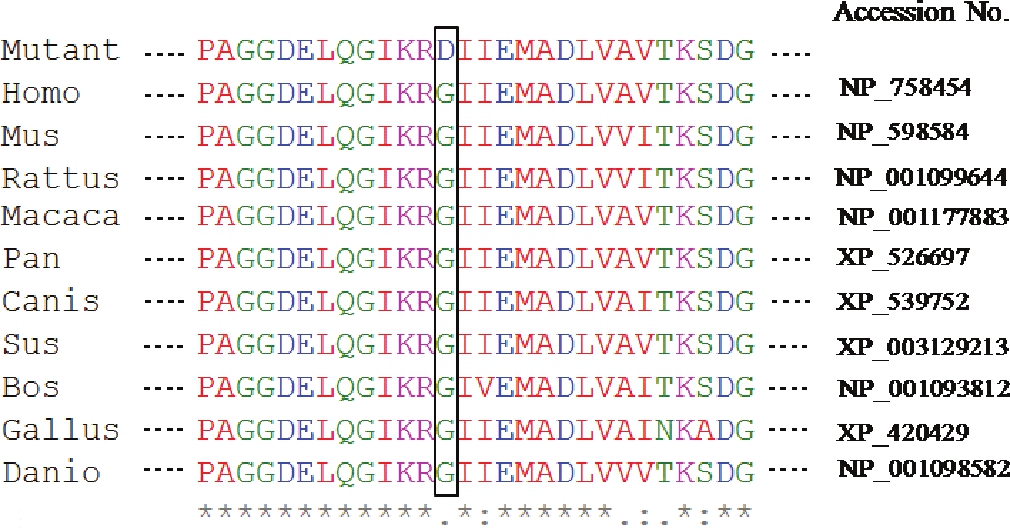 Figure 2: Comparison with sequences of lower animals shows that the mutation is in the highly conserved site of the gene