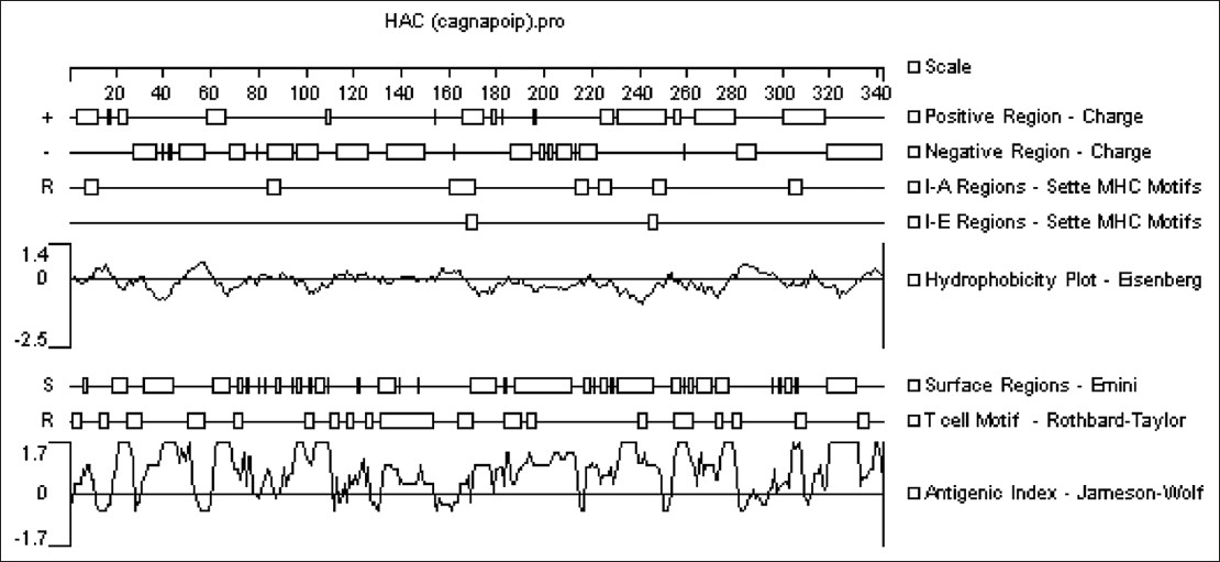 Figure 1: Analysis of the <i>H. pylori</i> antigenic construct by DNAstar software (see the text for details)