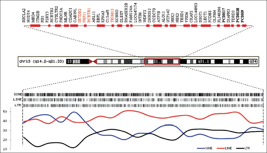 Figure 1: Ideogram of the chromosome 13q deletion (14.2 - 21.33) depicting the annotated refseq genes accessed from map viewer (top) and distribution of major class of repeats in the region (bottom). Genes listed in red are reported in schizophrenia database