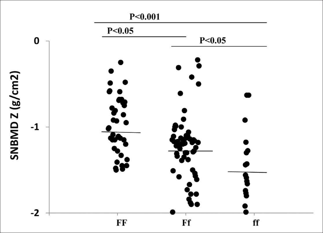 Figure 2: The distribution of spinal bone mineral density Z-score on the three <i>FokI</i> genotypes in patients