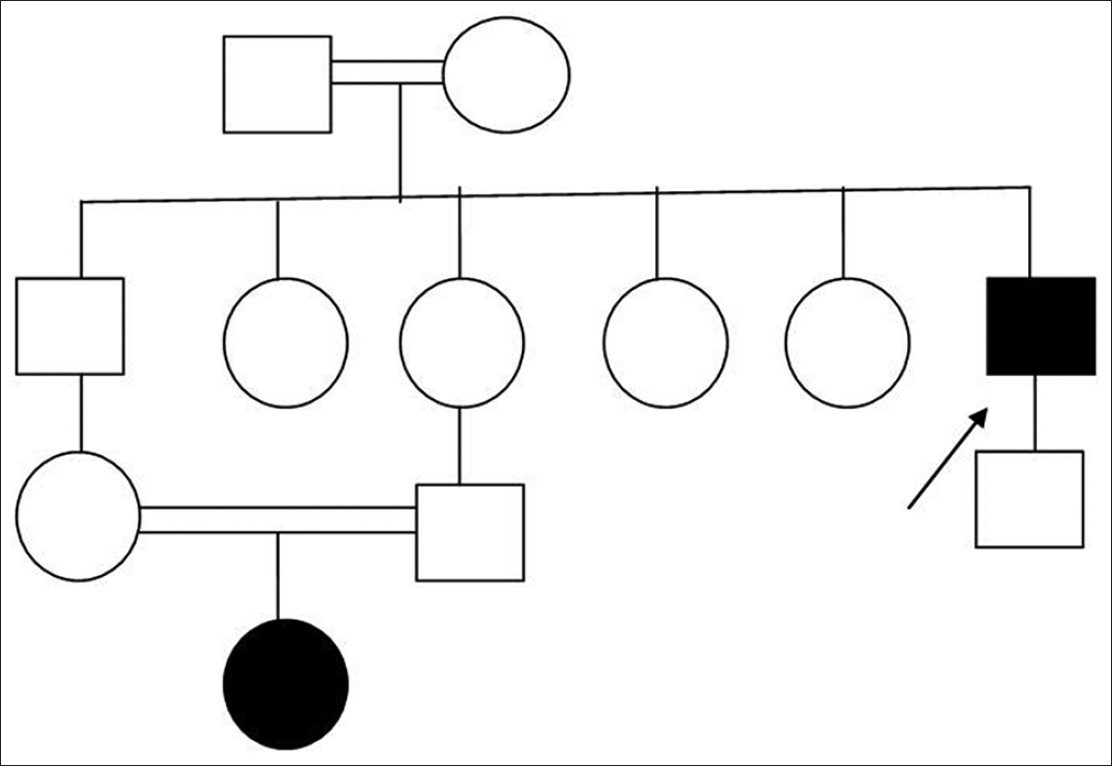 Figure 5: Pedigree chart