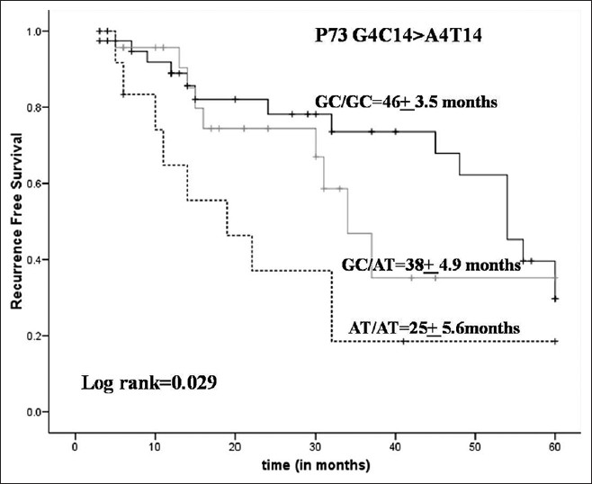 Figure 1: Kaplan Meir survival analysis for <i>Bacillus</i> Calmette-Guerin treated bladder cancer patient in relation to <i>P73</i> G4C14 > A4T14 (Median recurrence free survival for GC/GC = 46 months, GC/AT = 38 months, and AT/AT = 25 months; log rank = 0.029)