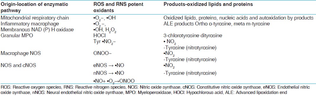 Table 1: Enzymatic pathways: Origin, ROS, RNS and their products[48,49] 

