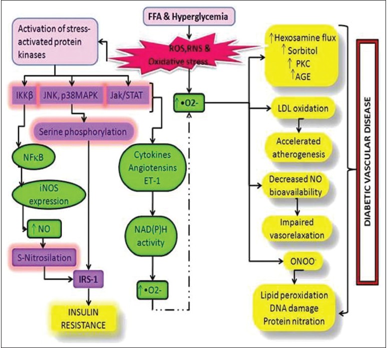Figure 1: Schematic representation of oxidative stress and the pathways leading to type 2 diabetes mellitus and its complications