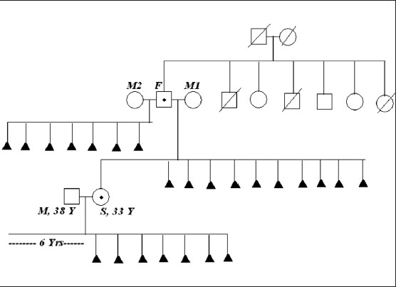 Figure 4: Pedigree of the family