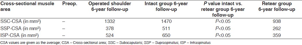 Table 3: Muscle cross-sectional area (in mm²) of the study population, the intact group and the retear group