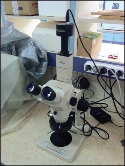 Figure 4: Stereomicroscope used in the study