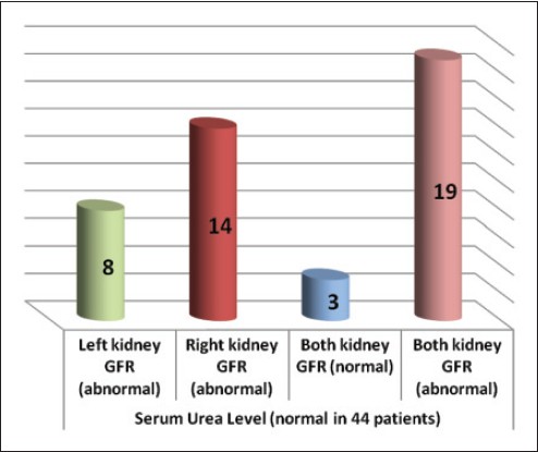 Figure 2: The result of isotopic renogram (right and left kidney glomerular fi ltration rate) and serum urea level