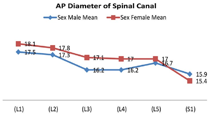 Figure 5: Anteroposterior diameter of spinal Cana