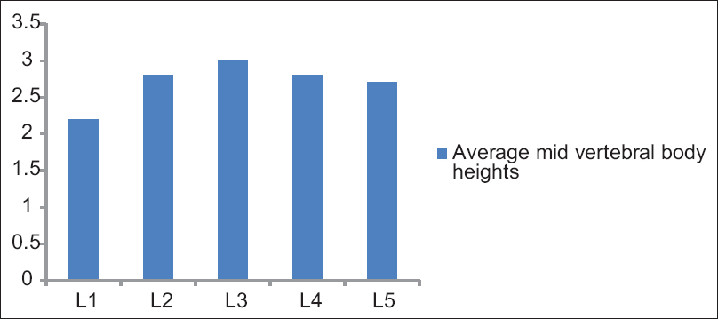 Figure 8: Average mid vertebral body heights