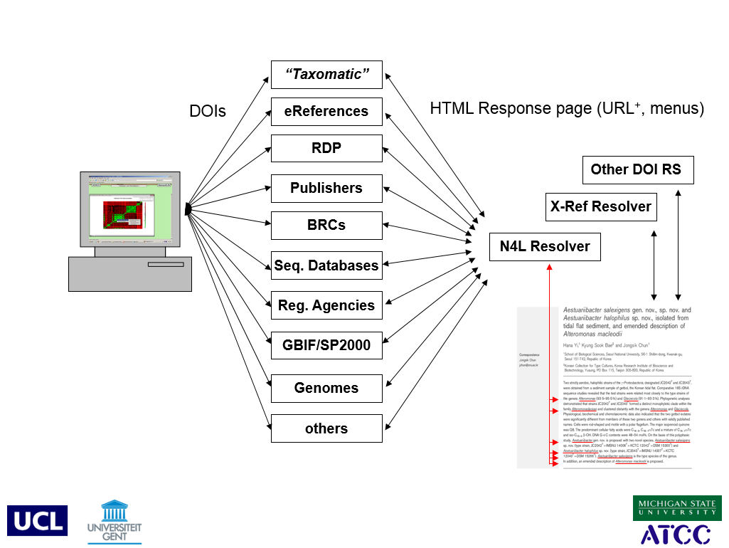 The N4L model provides a means of visualizing and linking to other data in a biological context.