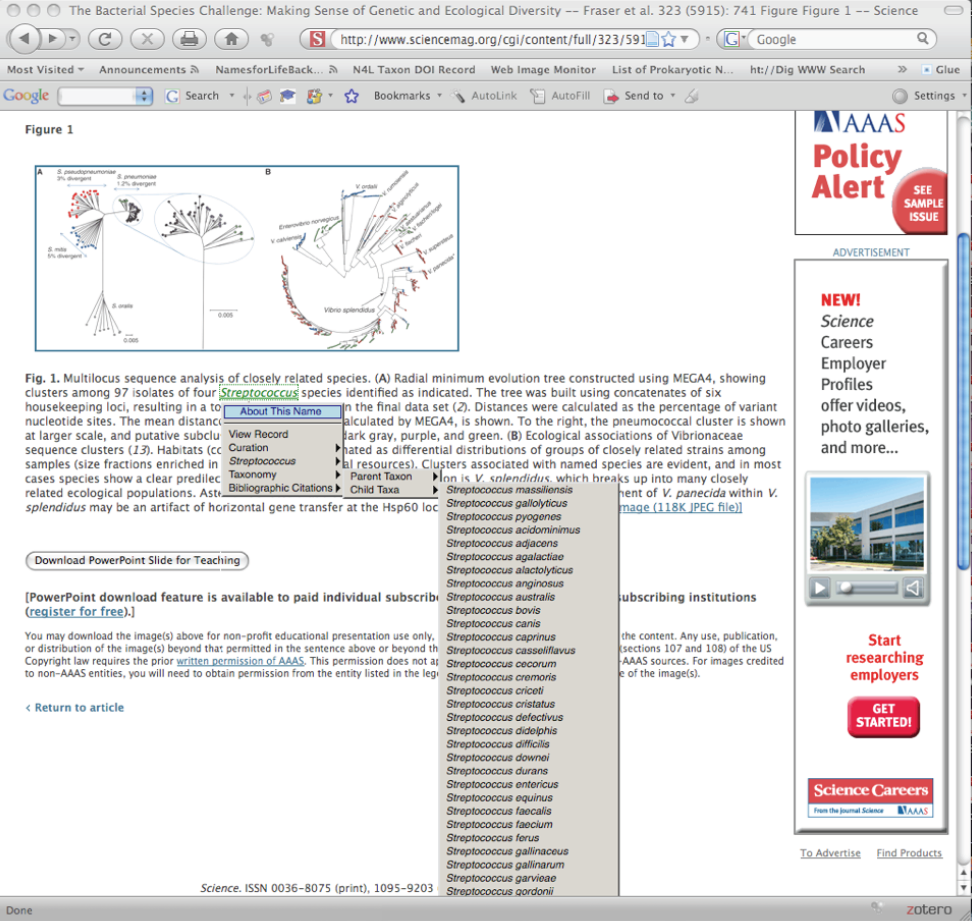 Our web-based client supports semantic enablement of other digital content, on-the-fly, providing similar seamless access to NamesforLife content at each point where a validly published name occurs. This provides the reader with direct access to a wealth of information to aid in the interpretation of each enabled article as is shown in the figures to the right.